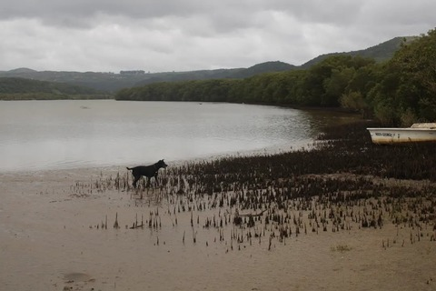 Header of dreadpixiii