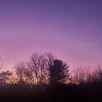 dreamriderlnic OnlyFans Leak 

 profile picture