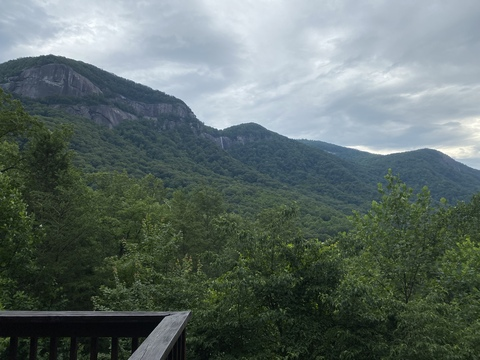 Header of dwarfbananafan