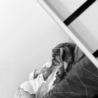 e.rose_b (E) free OnlyFans Leaked Content 

 profile picture