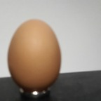 Onlyfans leak eggies 

 profile picture