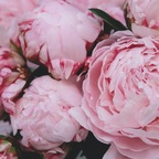 elizamarieme (ElizaMarie) OnlyFans Leaks 

 profile picture