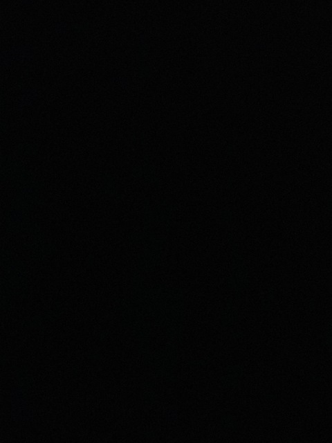 Header of elizasaurous