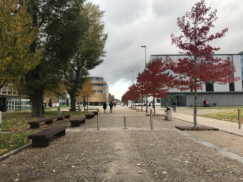 Header of elliemaeh18