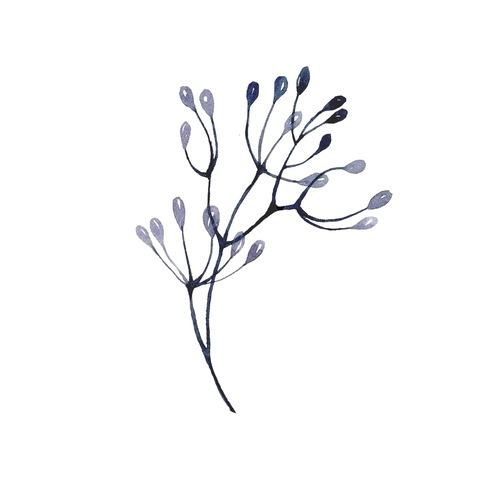 Header of emmymakani