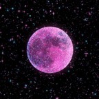 Download endzi OnlyFans videos and photos for free 

 profile picture