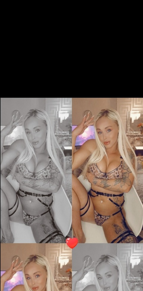 Header of englishrose25x