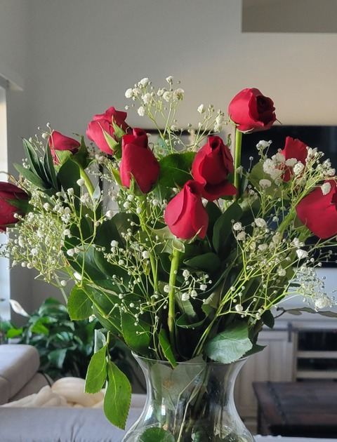 Header of erikitachiquita