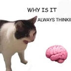 Download evanmaese OnlyFans videos and photos for free 

 profile picture