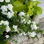 Download fagataaa OnlyFans leaks for free 

 profile picture