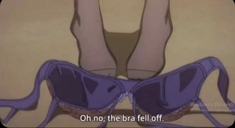 Header of fallonstoddard