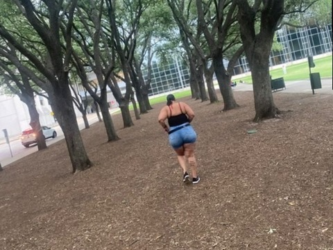 Header of fancifanci