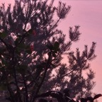 Onlyfans leak fankolekcjoner 

 profile picture