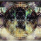 Onlyfans leaked fanoo 

 profile picture