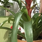 Onlyfans leak fd2439 

 profile picture