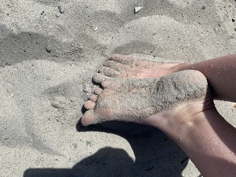 Header of feet_poppy