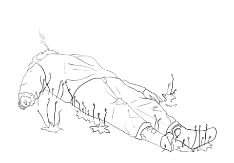 Header of fieldofblueflowers