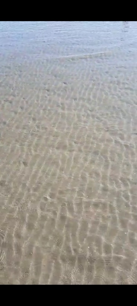 Header of findingmyfeet