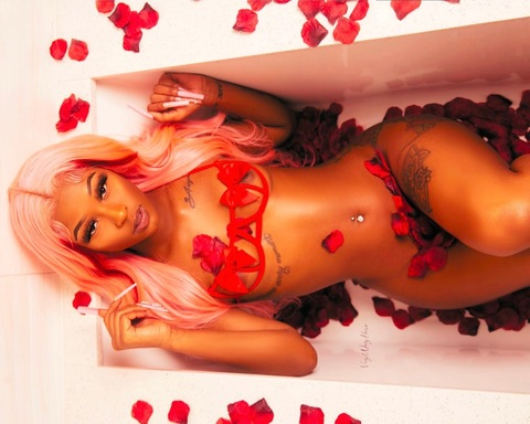 Header of fineasssstv