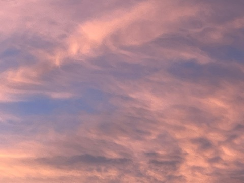 Header of fivefootshawty