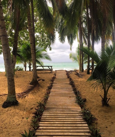 Header of foxyyyrose