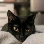 fraidyray OnlyFans Leaked 

 profile picture