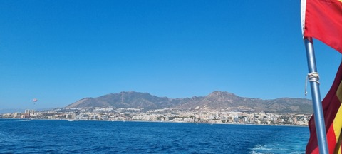 Header of franicals88