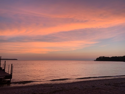 Header of freakyykikii