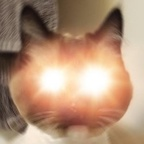 Free access to (fuckinfilth) Leak OnlyFans 

 profile picture