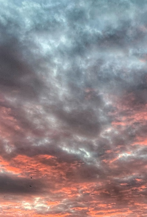 Header of geeseakiss