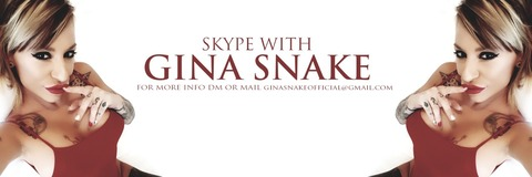 Header of ginasnakex