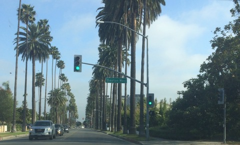 Header of gingerfoxxx6