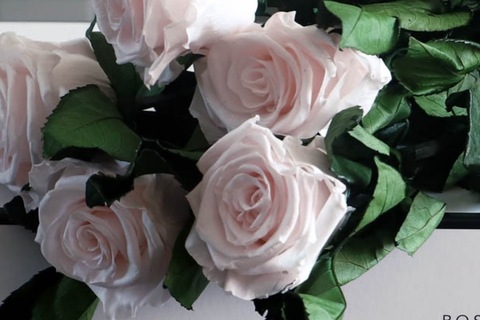 Header of girlbossin