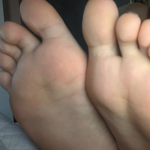 Header of giuggiola00