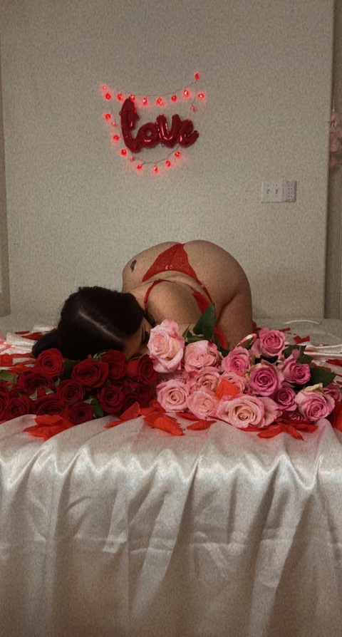 Header of glitter.clitt