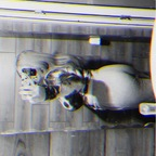 Download goodgirl199819292828181 OnlyFans leaks for free 

 profile picture