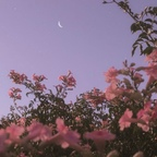 Onlyfans leaks grace1 

 profile picture