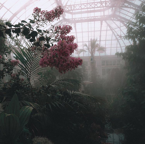 Header of graspofdarkness