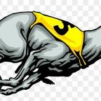 GetUpThePunt2021 @gutp2021 Leaked OnlyFans 

 profile picture