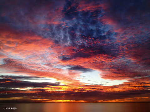 Header of gypsybabygirl1