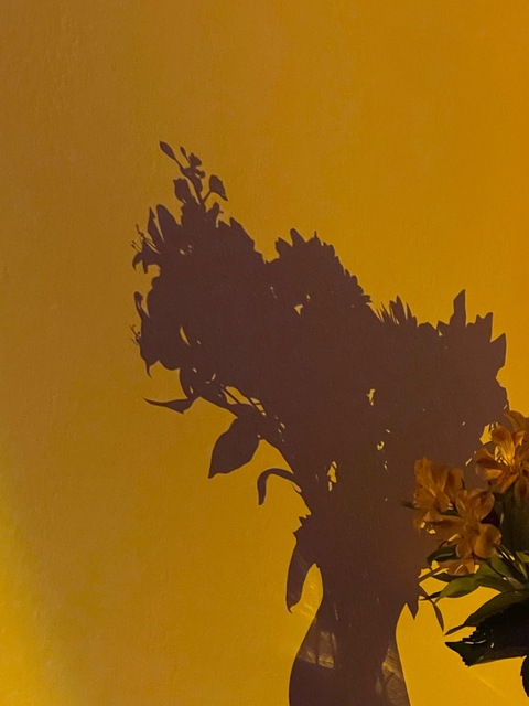 Header of h.one.y.xx