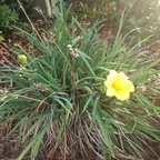 Onlyfans leaks haebabe 

 profile picture