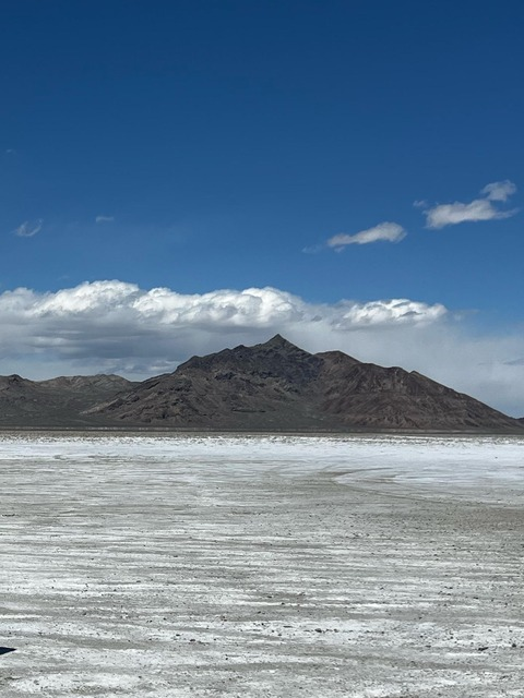 Header of haileysworld