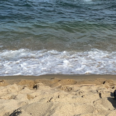 Header of hairydomxl