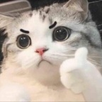 Onlyfans leak hanyuu 

 profile picture