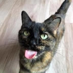 happyendings OnlyFans Leaks 

 profile picture