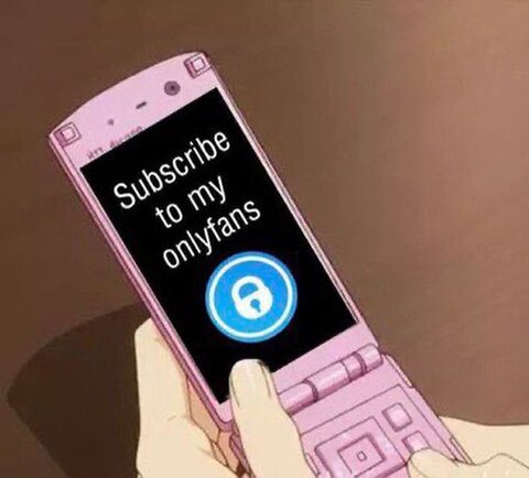 Header of hayleefree