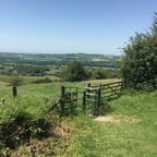 Onlyfans leaks heysiri 

 profile picture