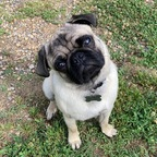 Free access to hisreverie Leaked OnlyFans 

 profile picture