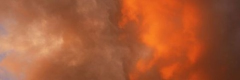 Header of honeydesires